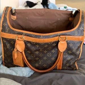 Louis Vuitton Dog Carrier
